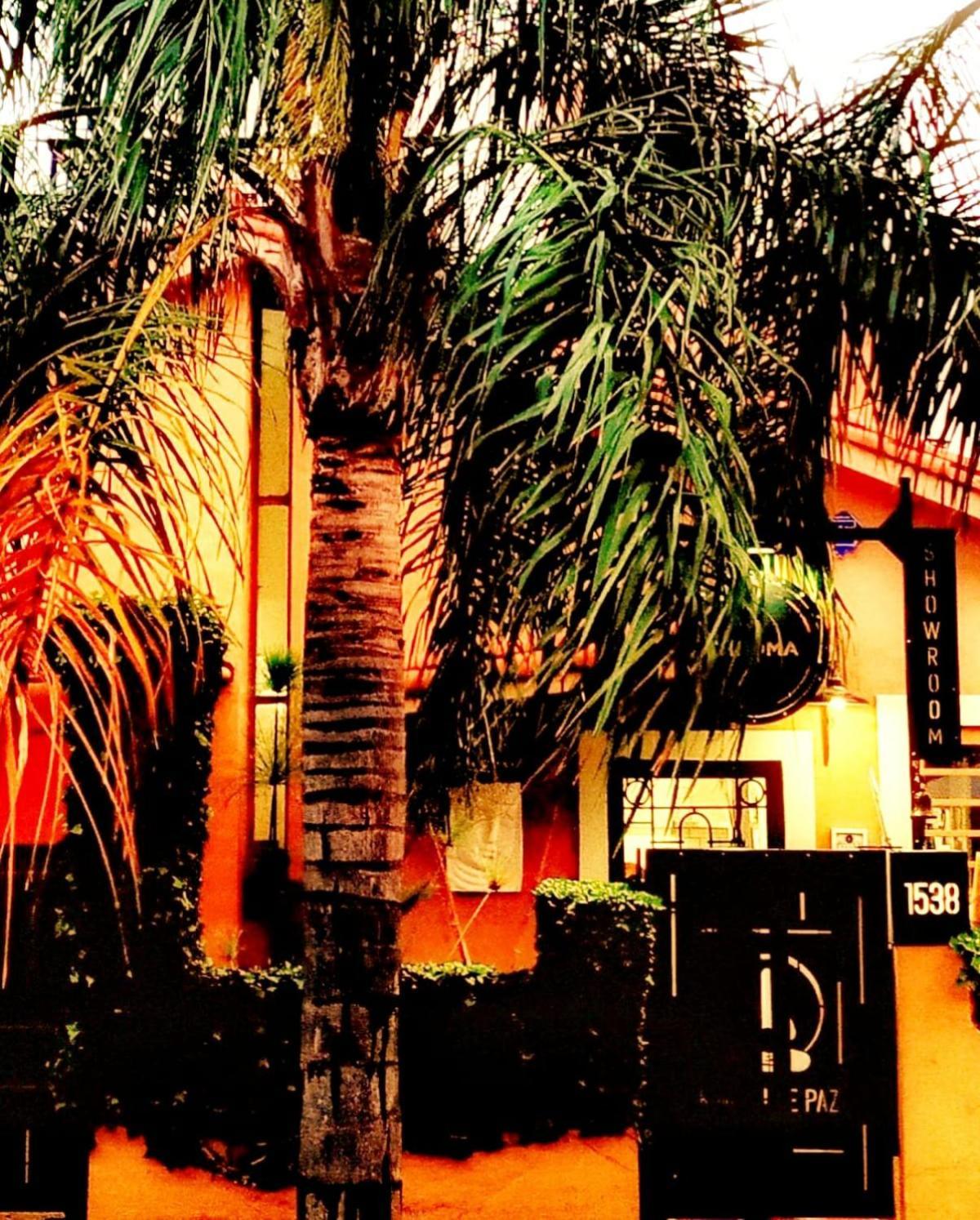 Rincon De Paz Apart & Loft Suite Boutique - Adults Only فيلا كارلوس باز المظهر الخارجي الصورة